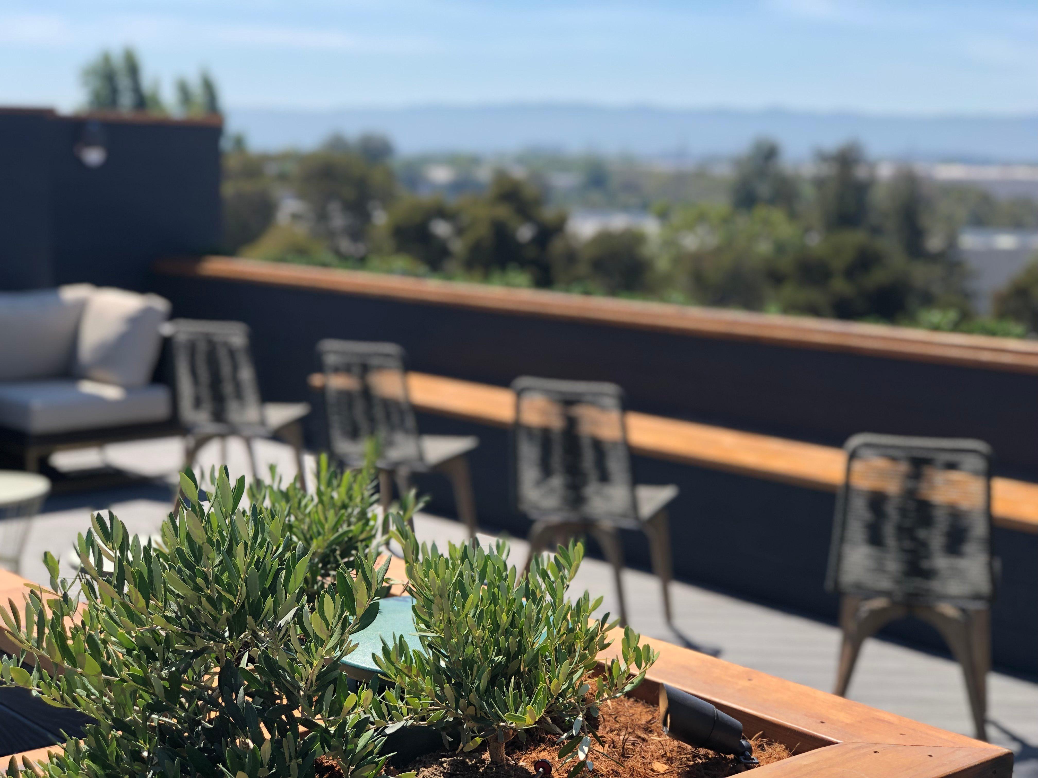 Holiday Inn Hotel & Suites Silicon Valley - Milpitas By Ihg Zewnętrze zdjęcie